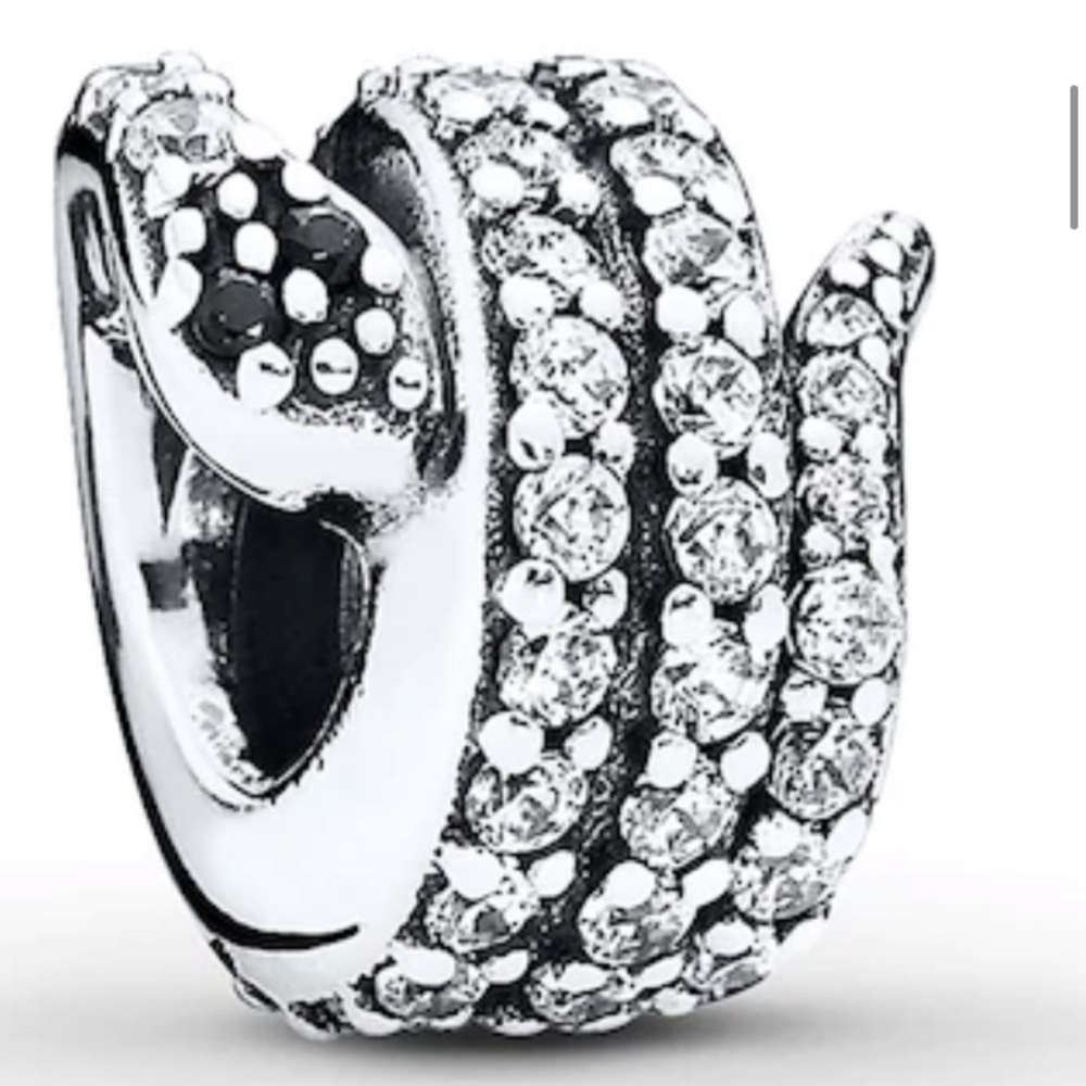 Snake Pandora Charm